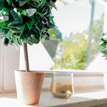 Fuchsbau Appartamento *